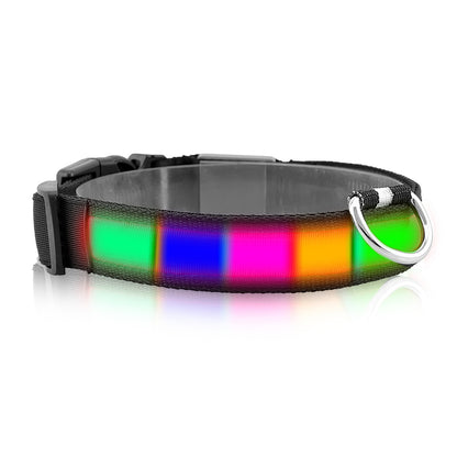 Dog Collar LED Flashing