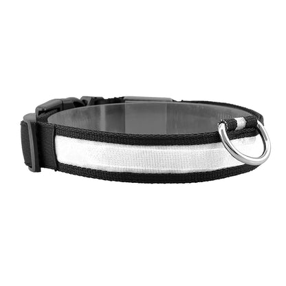 Dog Collar LED Flashing