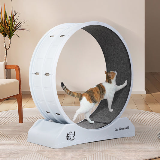 Indoor Cat Running Wheel