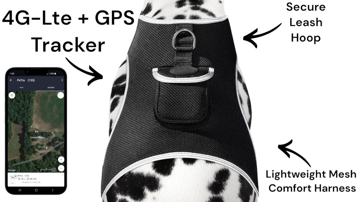 Mini GPS Pet Collar