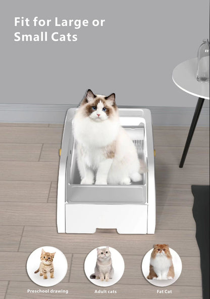 Smart Cat Litter Box