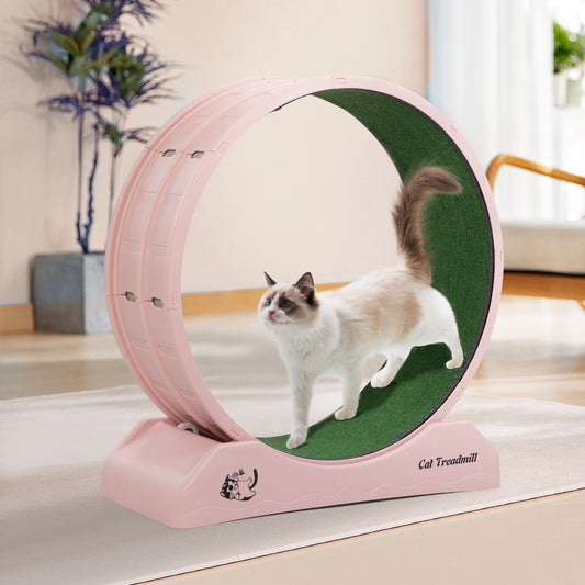 Indoor Cat Running Wheel