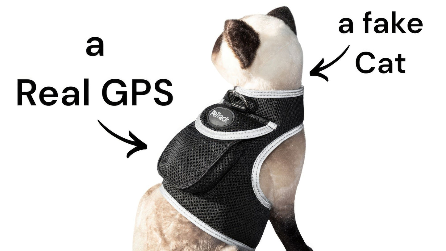 Mini GPS Pet Collar