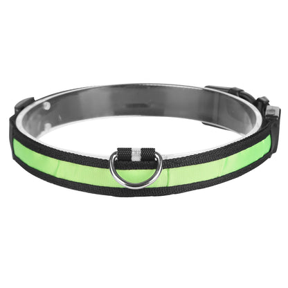 Dog Collar LED Flashing