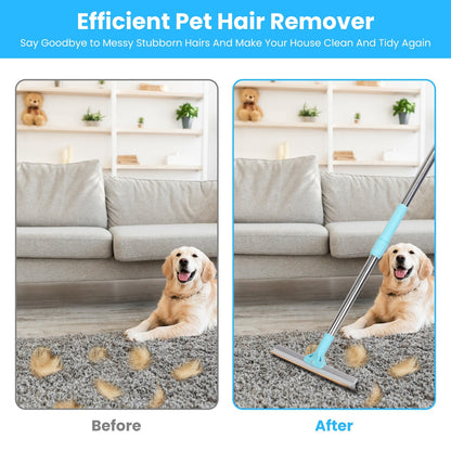 Pet Hair Removal Rake