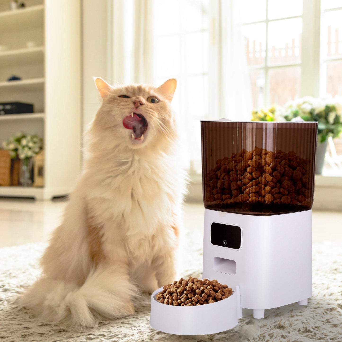 Pet Feeder Timed and WiFi With App Control