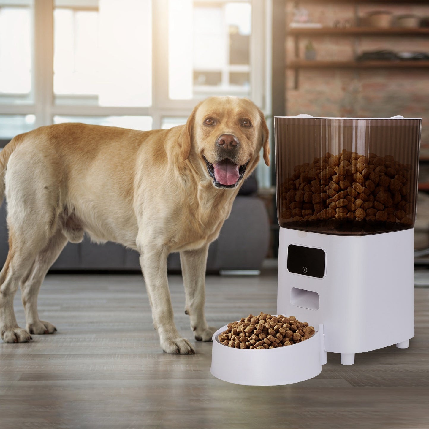 Pet Feeder Timed and WiFi With App Control