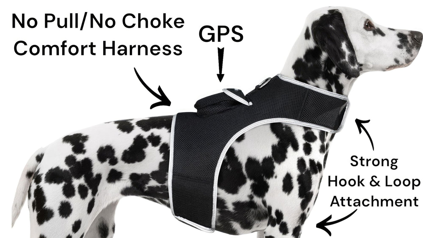 Mini GPS Pet Collar