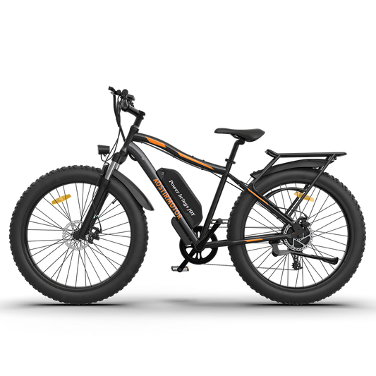 750W Electric Bike Fat Tire P7 48V