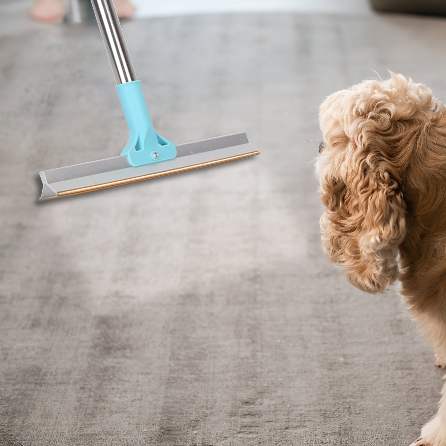 Pet Hair Removal Rake