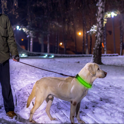 Dog Collar LED Flashing