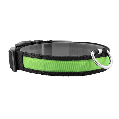 Dog Collar LED Flashing